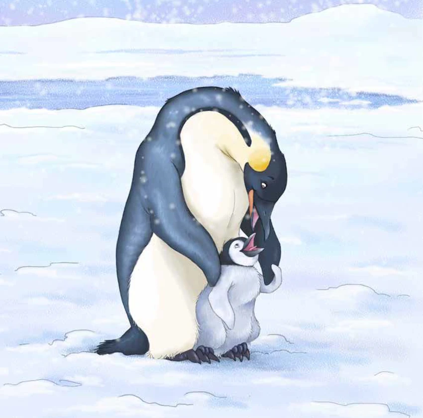 Un manchot adulte veille sur son petit