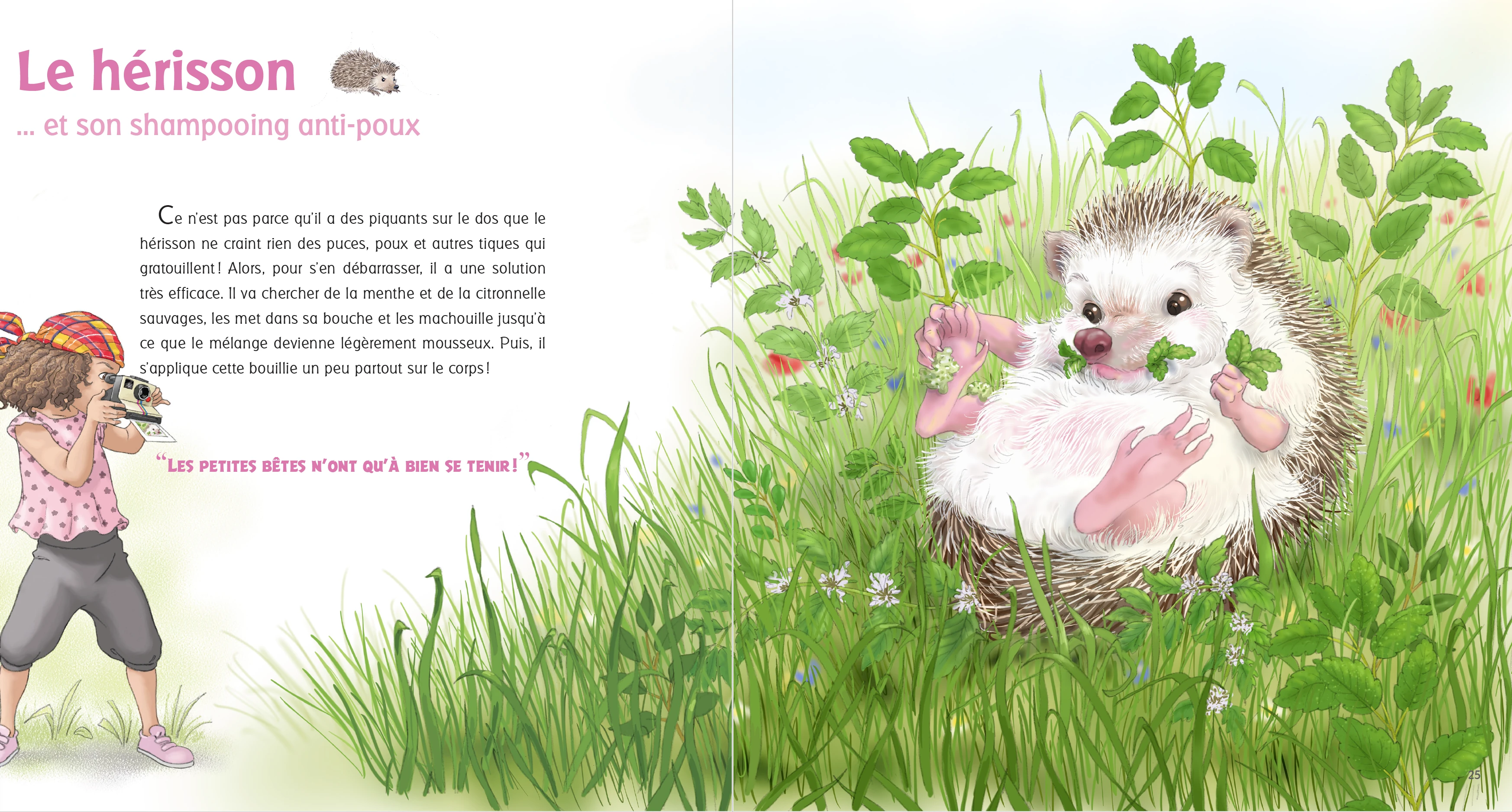 Double-page complète : Le hérisson
